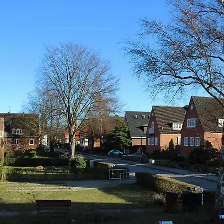 Haus Auguste, Haubentaucher