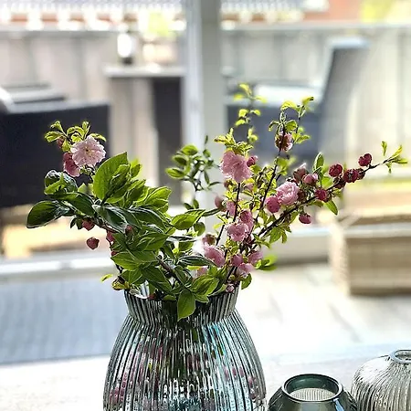 Haus Auguste, Haubentaucher Апартаменты Росток